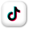 TikTok Logo