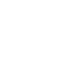 Globe Icon
