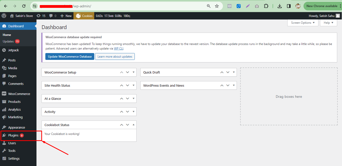 Plugin Section
