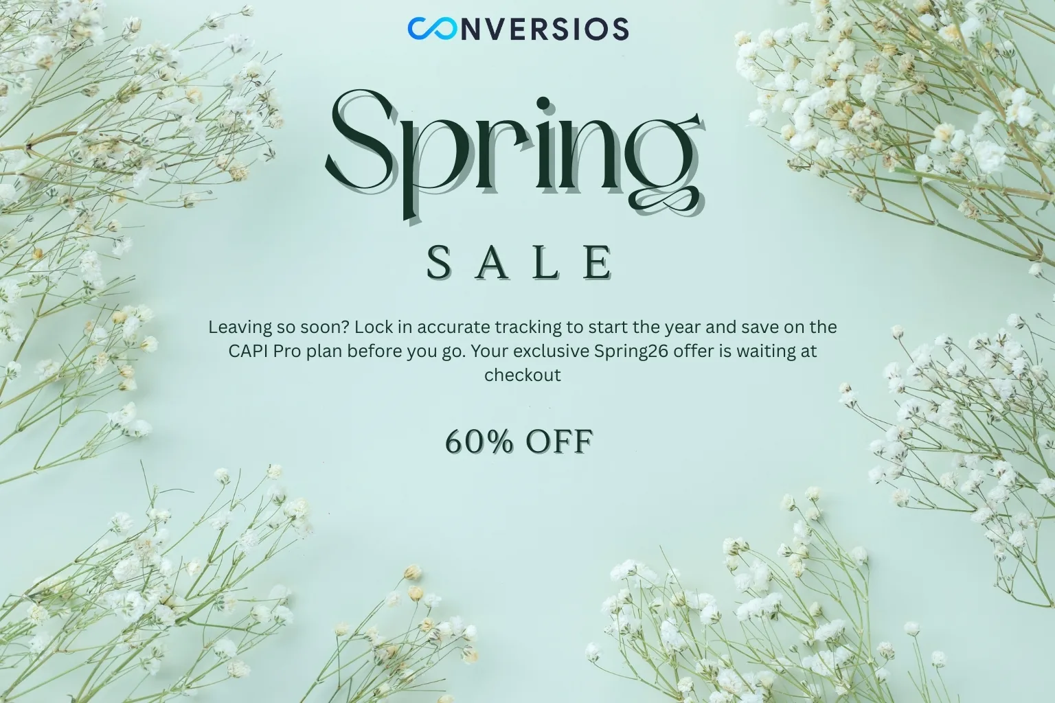 Spring Offer